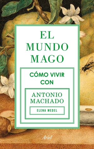 Portada de El mundo mago, de Elena Medel