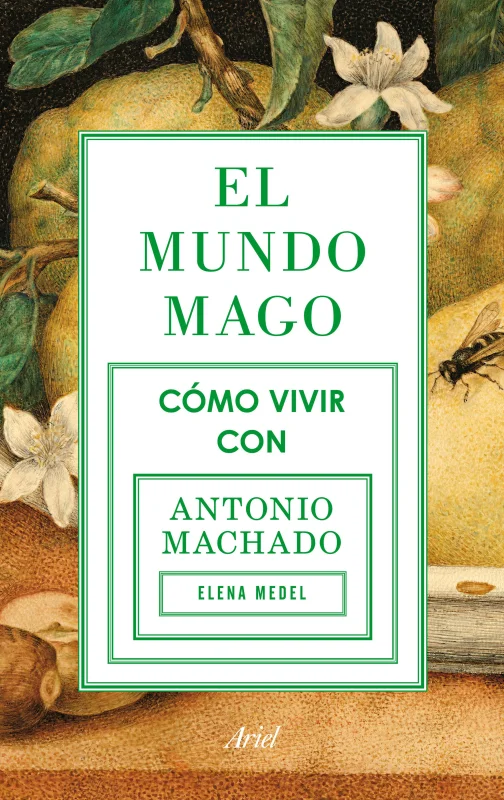El mundo mago