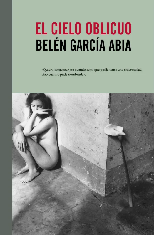 Portada de El cielo oblicuo