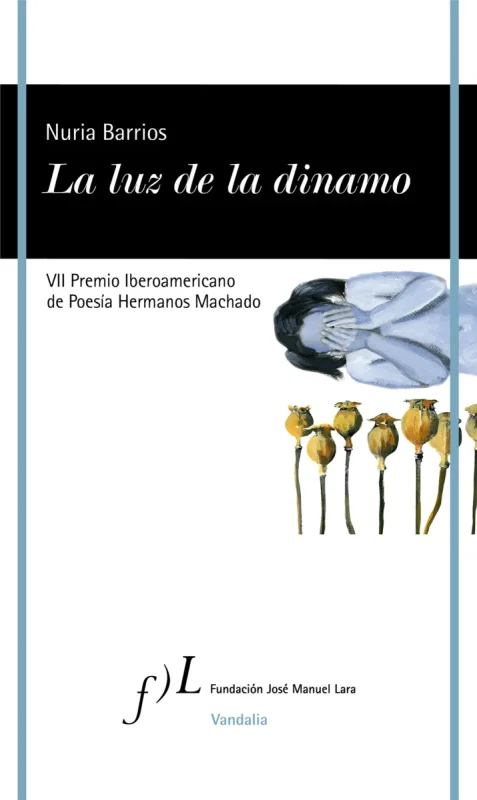 La luz de la dinamo