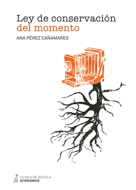 Ley de conservación del momento