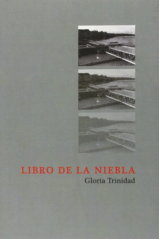 Libro de la niebla