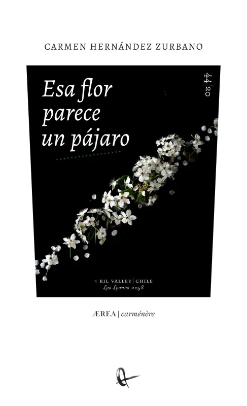 Esa flor parece un pájaro
