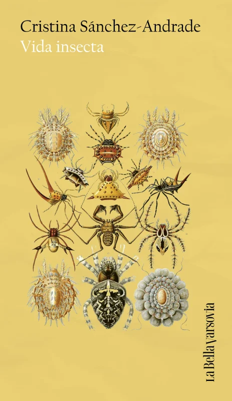 Vida insecta