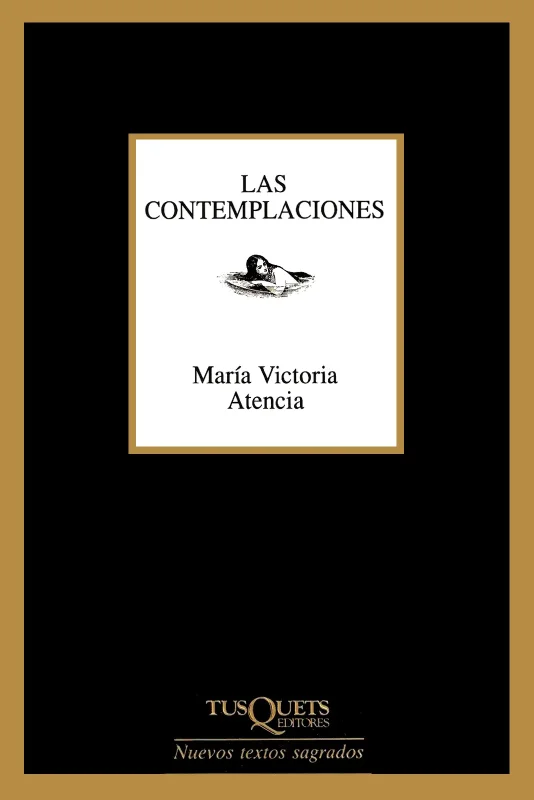 Las contemplaciones